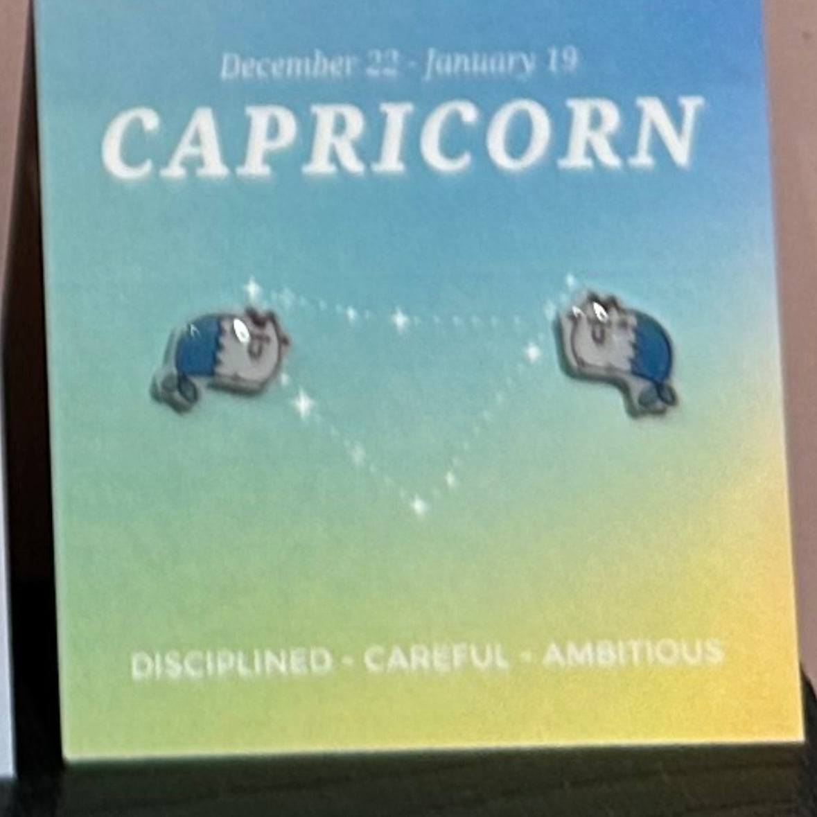 capricorn Gift idea Gift for her Made in Korea  Cubic Zirconia 925 Sterling Silver  No Piercing Jewelry Dainty Minimalist Dainty Daily wear korean earrings bracelet jewellery Malaysia necklace korean jewellery horoscope zodiac resin earrings handmade earrings paper shrink earrings uv resin earrings