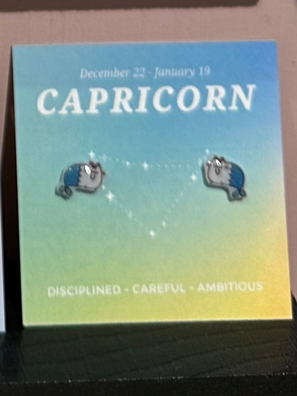 capricorn Gift idea Gift for her Made in Korea  Cubic Zirconia 925 Sterling Silver  No Piercing Jewelry Dainty Minimalist Dainty Daily wear korean earrings bracelet jewellery Malaysia necklace korean jewellery horoscope zodiac resin earrings handmade earrings paper shrink earrings uv resin earrings