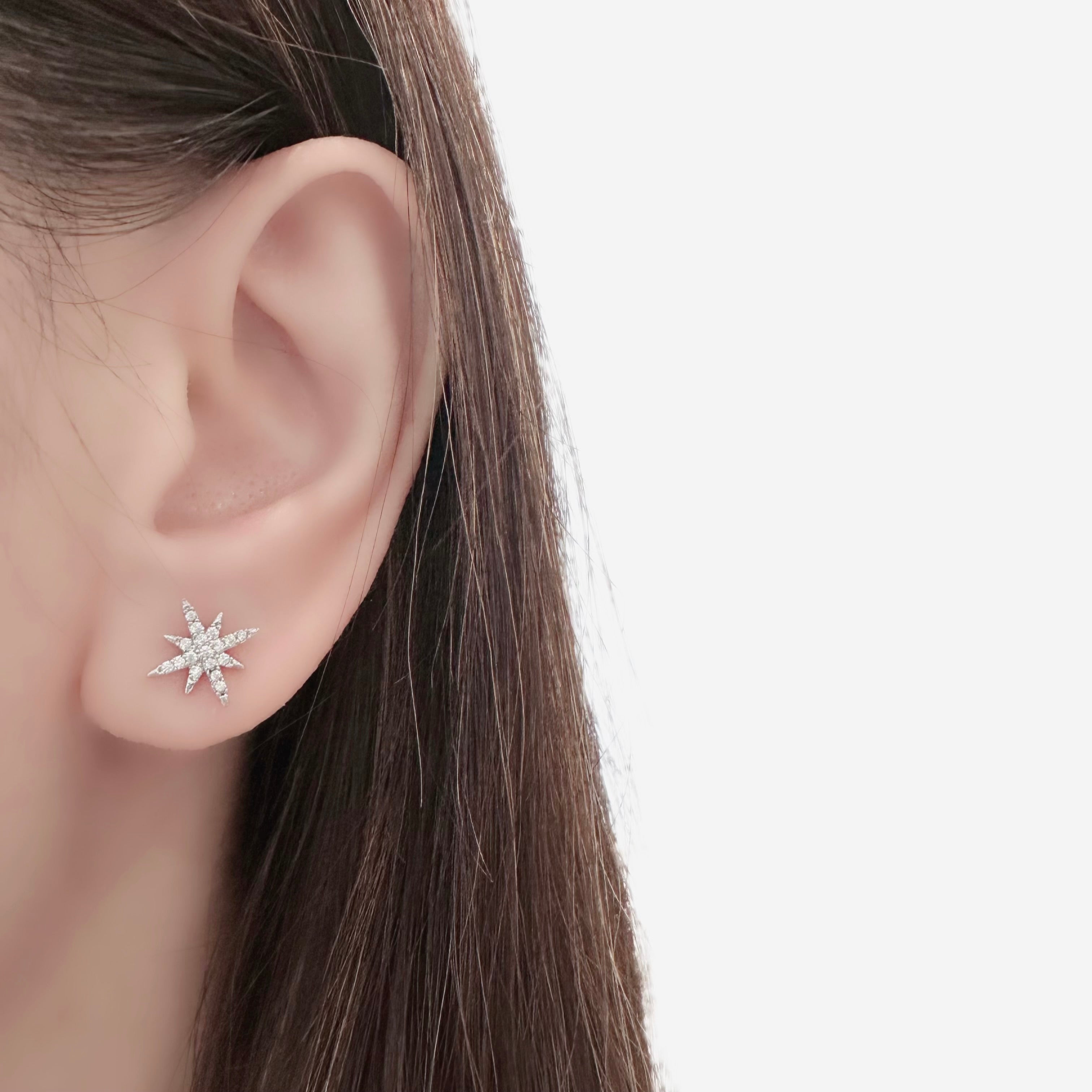 Silver Silvia Earrings