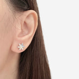 Silver Glacier Snowflake Earrings