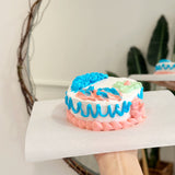 Small cake with pink and blue icing held by a person, with a neutral background