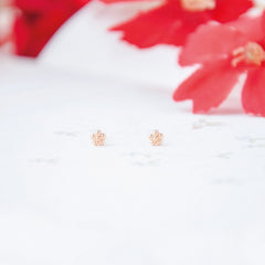 Made in Korea Earrings Korean Anting Cubic Zirconia Bride Bridal Dinner 925 Sterling Silver Fashion Costume Jewellery Online Malaysia Shopping Trendy No Piercing Special Perfect Gift From Heart For Your Loved One Accessory Gift for her Rose Gold Korea Made Earrings Korean Jewellery Jewelry Local Brand in Malaysia Cubic Zirconia Dainty Delicate Minimalist Jewellery Jewelry Clip On Earrings Silver Christmas Gift Set Xmas Silver ANTI TARNISH DAILY SHOWER present gift for her gift ideas chinese new year