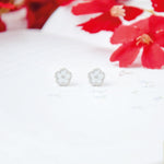  Made in Korea Earrings Korean Anting Cubic Zirconia Bride Bridal Dinner 925 Sterling Silver Fashion Costume Jewellery Online Malaysia Shopping Trendy No Piercing Special Perfect Gift From Heart For Your Loved One Accessory Gift for her Rose Gold Korea Made Earrings Korean Jewellery Jewelry Local Brand in Malaysia Cubic Zirconia Dainty Delicate Minimalist Jewellery Jewelry Clip On Earrings Silver Christmas Gift Set Xmas Silver ANTI TARNISH DAILY SHOWER present gift for her gift ideas chinese new year