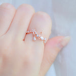 Rose Gold Ring Korea Made Earrings Cubic Zirconia Stone 925 Silver Daily Wear Cincin Adjustable Gift For Her Surprise